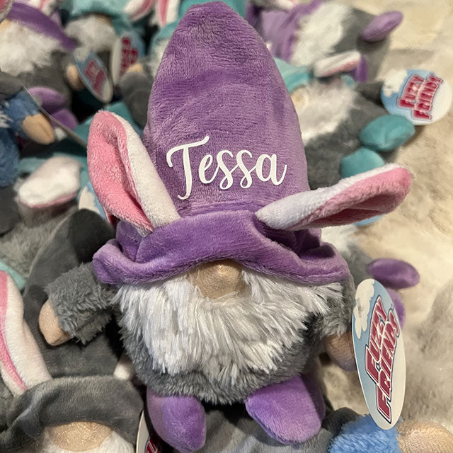 Personalized Gnomes